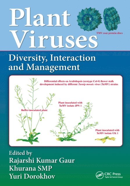 Yuri Dorokhov, SMP Khurana, Rajarshi Kumar Gaur - Plant Viruses, E-bok