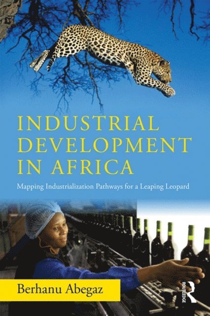 Berhanu Abegaz - Industrial Development in Africa, E-bok