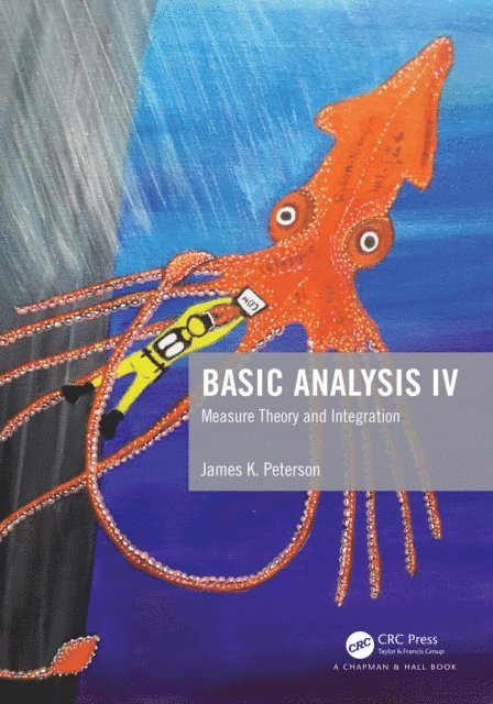 James K. Peterson - Basic Analysis IV, E-bok