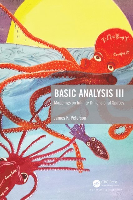 James K. Peterson - Basic Analysis III, E-bok