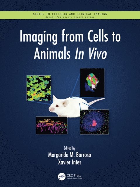 Xavier Intes, Margarida Barroso - Imaging from Cells to Animals In Vivo, E-bok