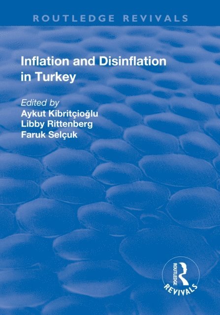 Aykut Kibritcioglu, Libby Rittenberg, Faruk Selcuk - Inflation and Disinflation in Turkey, E-bok