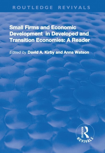 Anna Watson, David A. Kirby - Small Firms and Economic Development in Developed and Transition Economies, E-bok