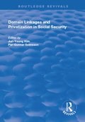 Domain Linkages and Privatization in Social Security