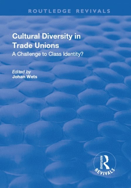 Johan Wets - Cultural Diversity in Trade Unions: A Challenge to Class Identity?, E-bok