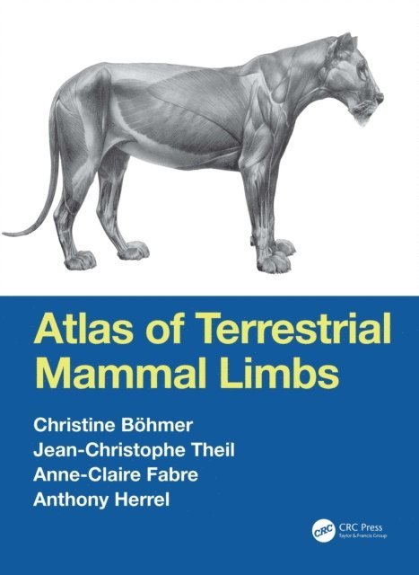 Anthony Herrel, Anne-Claire Fabre, Jean-Christophe Theil, Christine Bohmer - Atlas of Terrestrial Mammal Limbs, E-bok