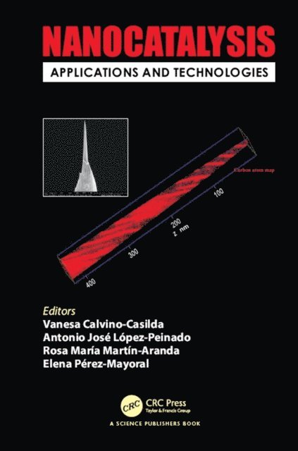 Elena Perez Mayoral, Rosa Maria Martin-Aranda, Antonio Jose Lopez-Peinado, Vanesa Calvino-Casilda - Nanocatalysis, E-bok