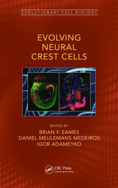 Igor Adameyko, Daniel Meulemans Medeiros, Brian Frank Eames - Evolving Neural Crest Cells, E-bok