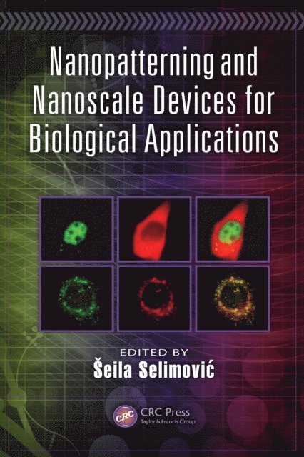 Seila Selimovic - Nanopatterning and Nanoscale Devices for Biological Applications, E-bok