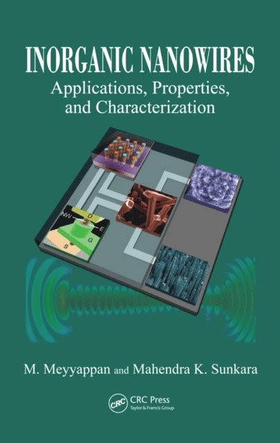 Mahendra K. Sunkara, M. Meyyappan - Inorganic Nanowires, E-bok