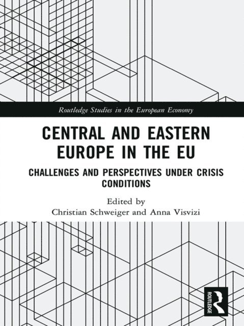 Anna Visvizi, Christian Schweiger - Central and Eastern Europe in the EU, E-bok