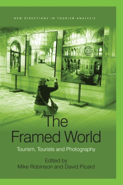 Mike Robinson, David Picard - Framed World, E-bok