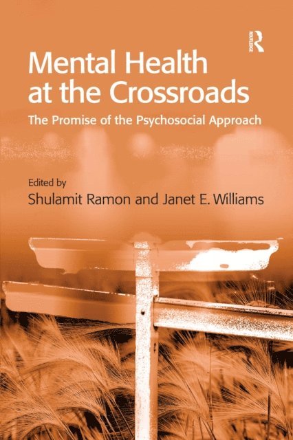 Janet E. Williams, Shulamit Ramon - Mental Health at the Crossroads, E-bok
