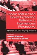 Labour Market and Social Protection Reforms in International Perspective