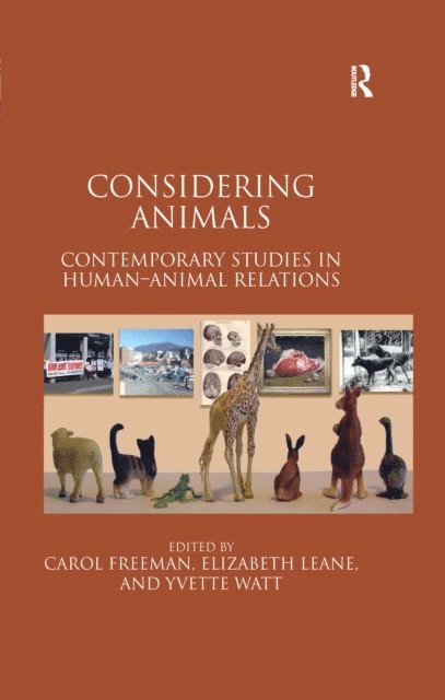 Yvette Watt, Elizabeth Leane, Carol Freeman - Considering Animals, E-bok