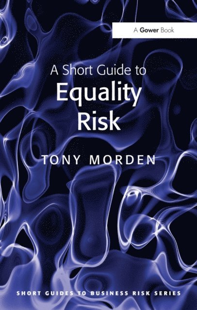 Tony Morden - Short Guide to Equality Risk, E-bok