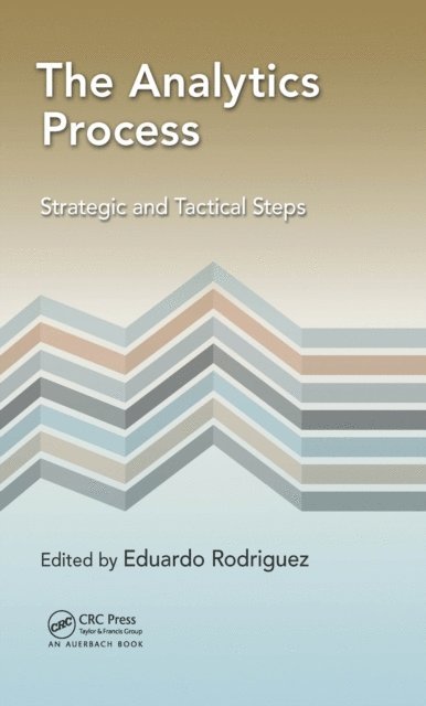 Eduardo Rodriguez - Analytics Process, E-bok