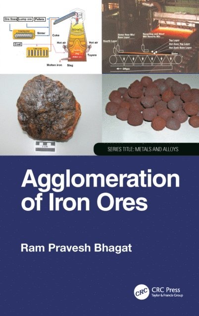 Ram Pravesh Bhagat - Agglomeration of Iron Ores, E-bok