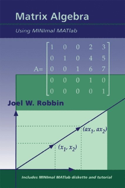Joel W. Robbin - Matrix Algebra Using MINimal MATlab, E-bok