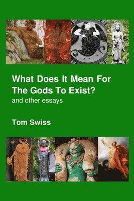 Tom Swiss - What Does it Mean for the Gods to Exist?, Häftad