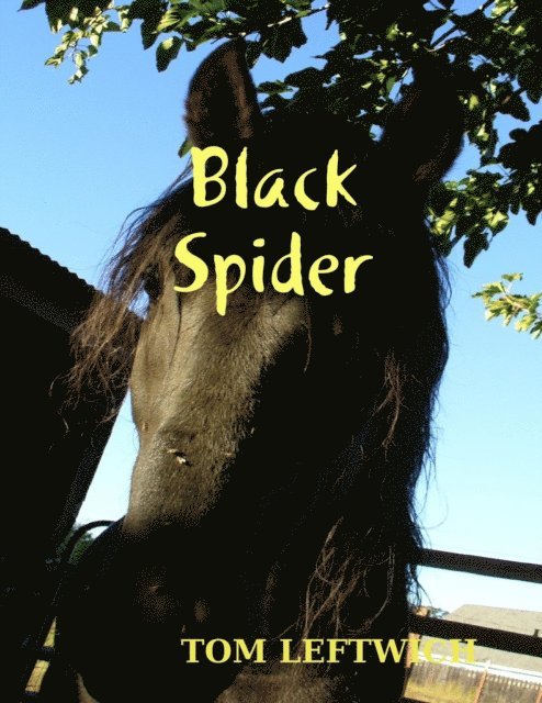 TOM LEFTWICH - Black Spider, E-bok