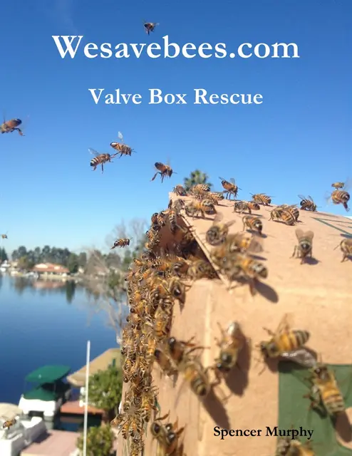 Spencer Murphy - Wesavebees.com: Valve Box Rescue, E-bok. Tillgänglighet: Lägg i varukorg