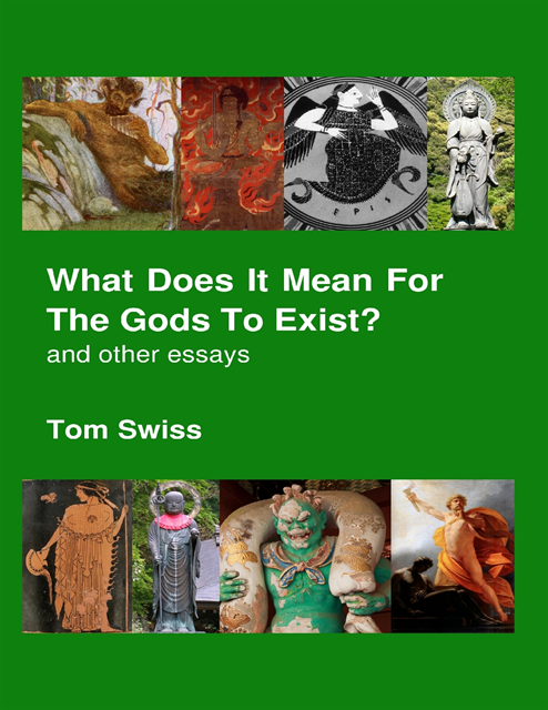 Tom Swiss - What Does It Mean for the Gods to Exist?: And Other Essays, E-bok