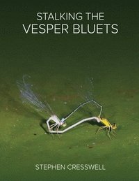 Stalking the Vesper Bluets