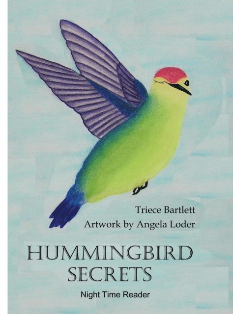 Triece Bartlett - Hummingbird Secrets, E-bok. Tillgänglighet: Lägg i varukorg