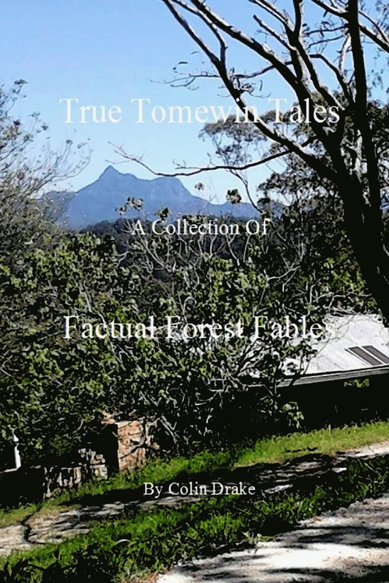 Colin Drake - True Tomewin Tales, Häftad