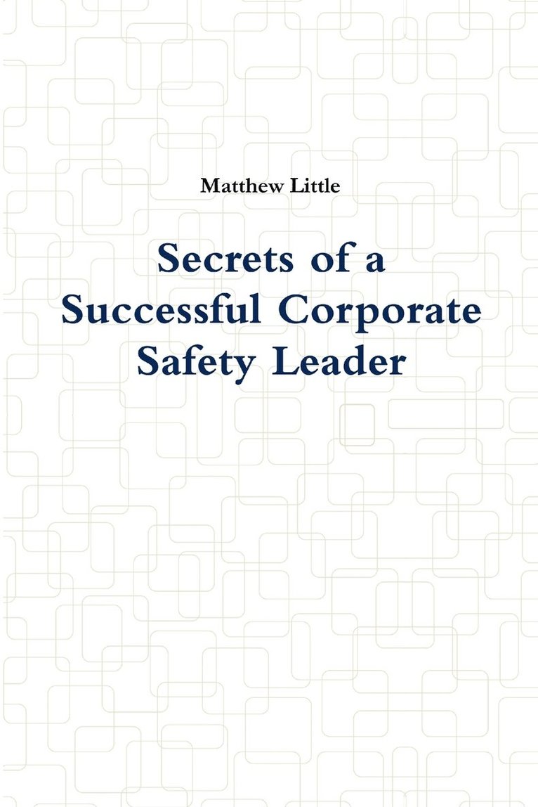 Matthew Little - Secrets of a Successful Corporate Safety Leader, Häftad