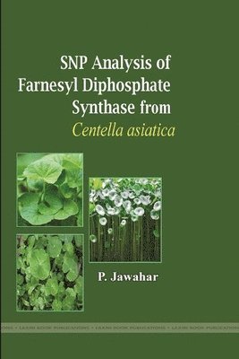 P Jawahar - Snp Analysis of Farnesyl Diphosphate Synthase from Centella Asiatica, Häftad