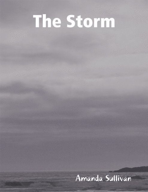 Amanda Sullivan - Storm, E-bok