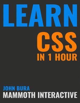 John Bura - Learn Css In 1 Hour, E-bok