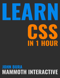 Learn Css In 1 Hour