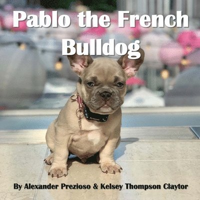 Alexander Prezioso - Pablo the French Bulldog, Häftad