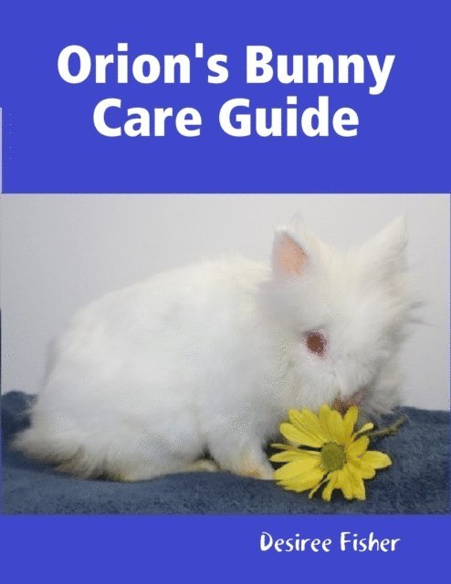 Desiree Fisher - Orion's Bunny Care Guide, E-bok