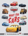 Meet The Cars