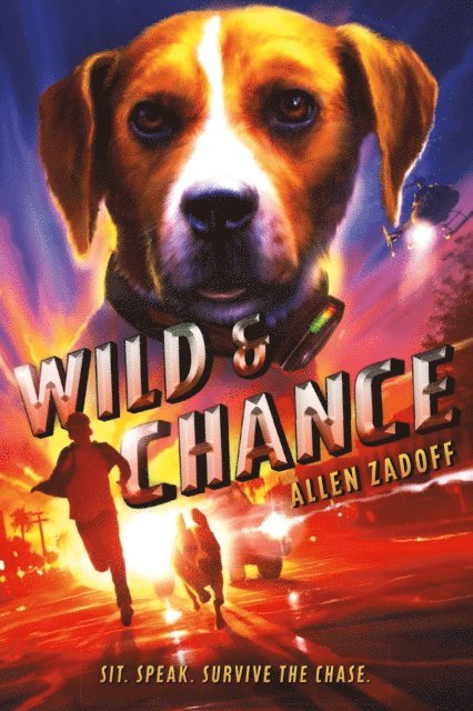 Allen Zadoff - Wild & Chance, E-bok