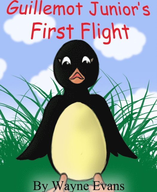 Wayne Evans - Guillemot Junior's First Flight: A children's story with morals., E-bok