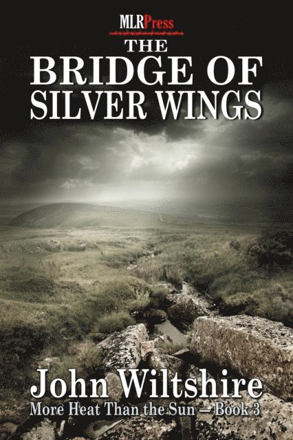 John Wiltshire - Bridge of Silver Wings, E-bok