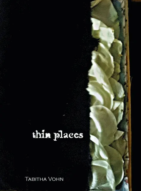 Tabitha Vohn - Thin Places, E-bok. Tillgänglighet: Lägg i varukorg