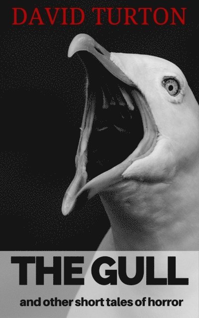 David Turton - Gull and Other Short Tales of Horror, E-bok