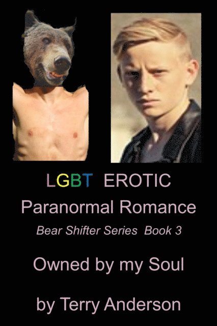 Terry Anderson - LGBT Erotic Paranormal Romance Owned by My Soul (Bear Shifter Series Book 3), E-bok