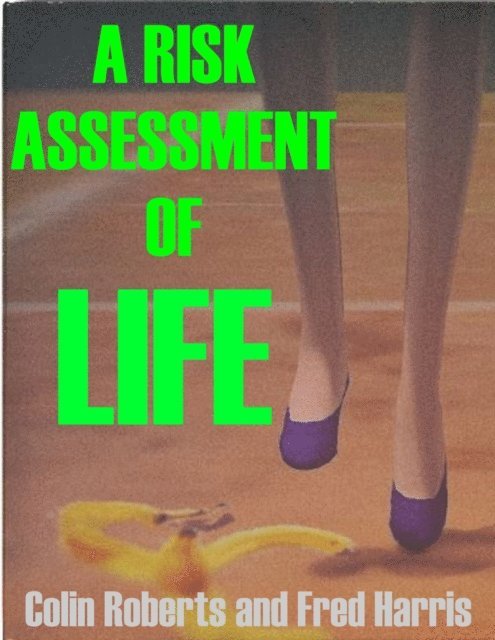 Colin Roberts - Risk Assessment of Life, E-bok