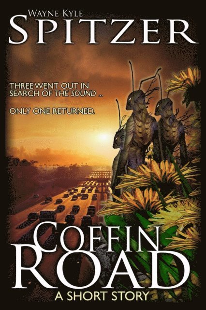 Wayne Kyle Spitzer - Coffin Road, E-bok