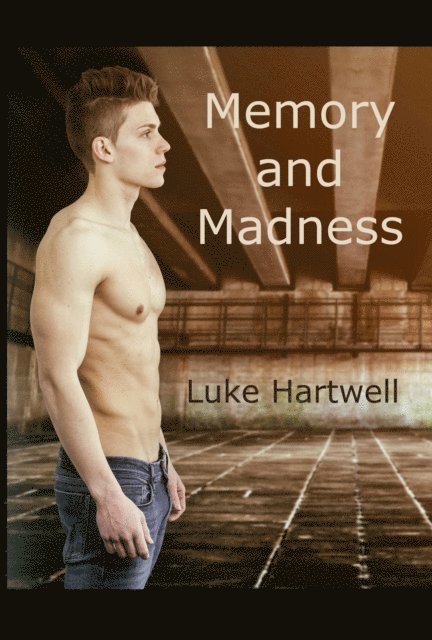 Luke Hartwell - Memory and Madness, E-bok