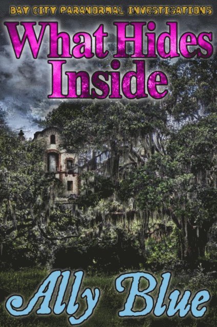 Ally Blue - What Hides Inside (Bay City Paranormal Investigations book 2), E-bok