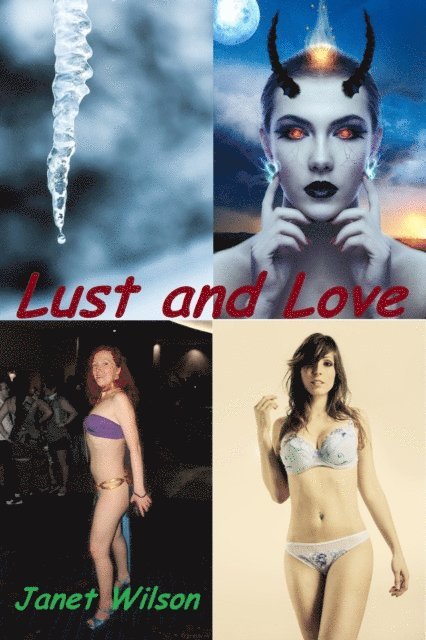 Janet Wilson - Lust and Love, E-bok