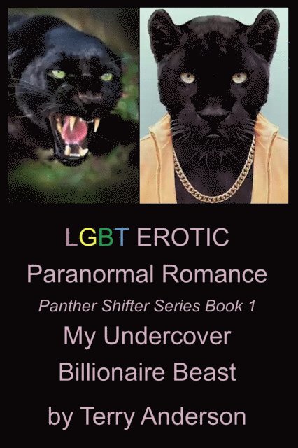 Terry Anderson - LGBT Erotic Paranormal Romance My Undercover Billionaire Beast (Panther Shifter Series Book 1), E-bok